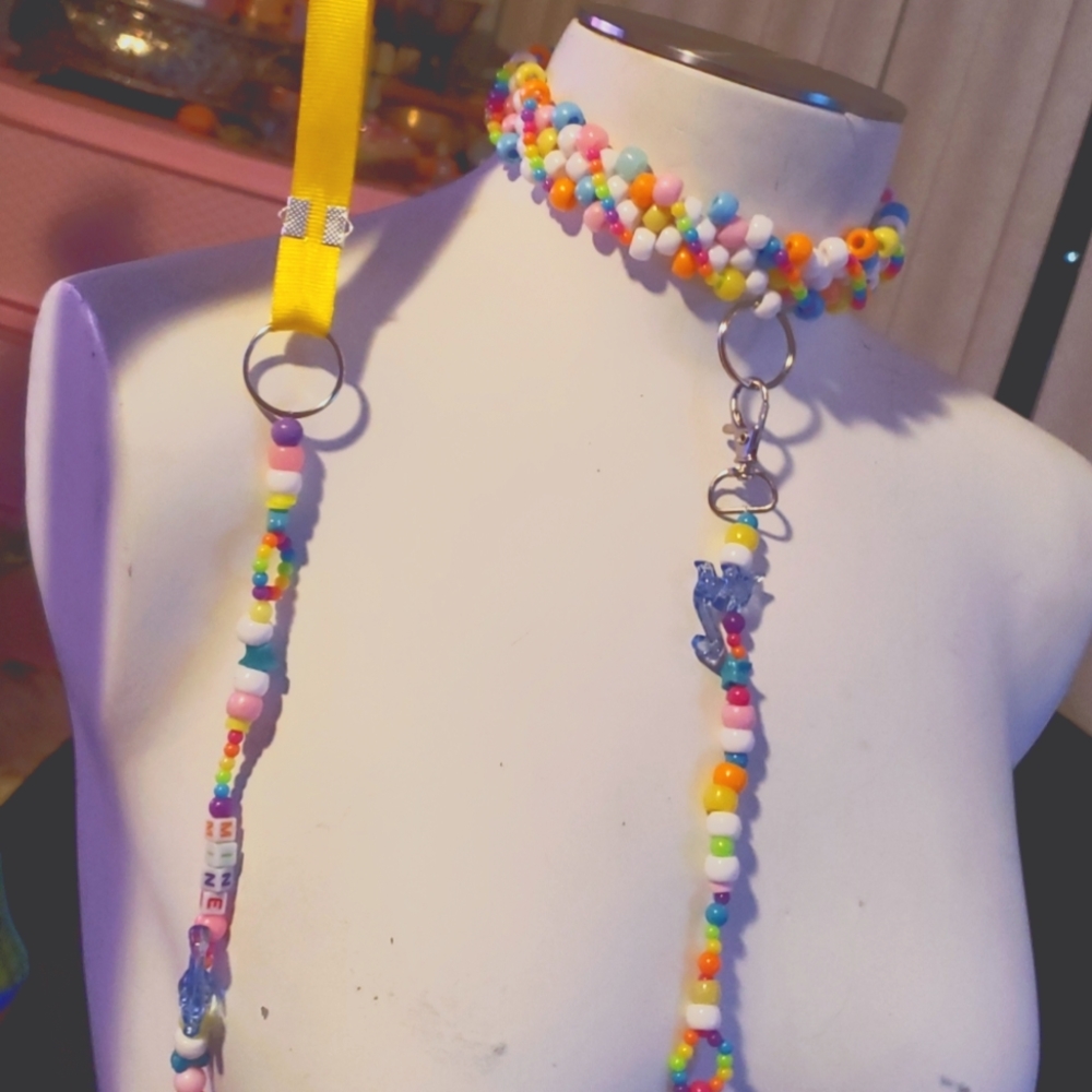 Rainbow collar and leash set